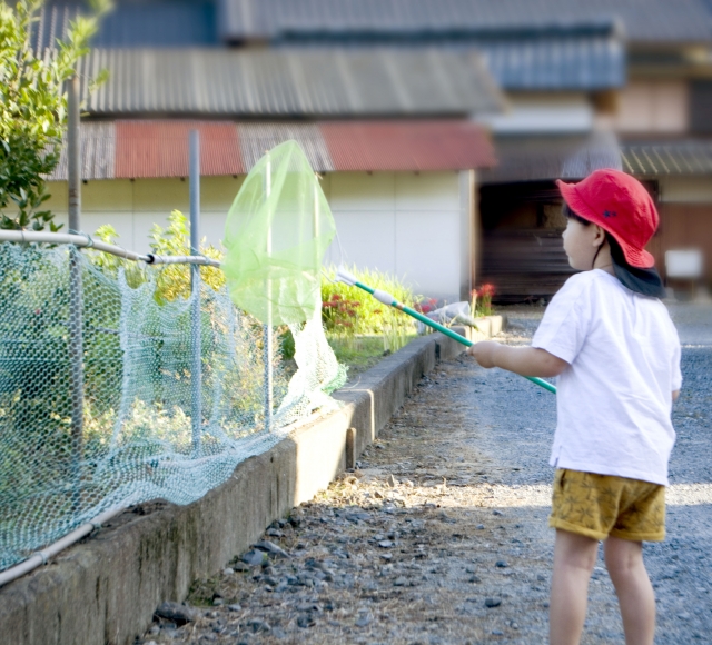 幼少期のイメージ