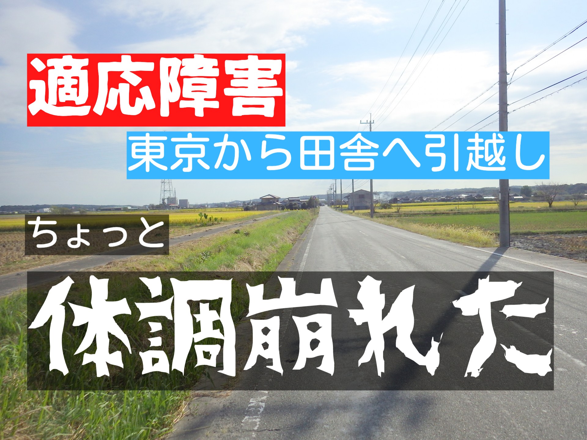 適応障害で東京から田舎へ引っ越ししたらちょっと体調が崩れた