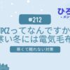 212-JPCZってなんですか？寒い冬には電気毛布！