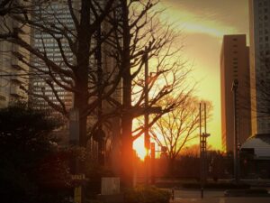 新宿夕焼け